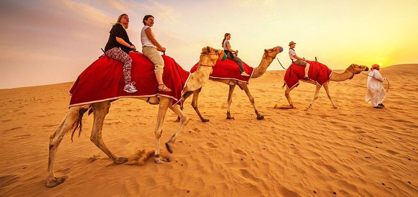 Premium Desert Safari