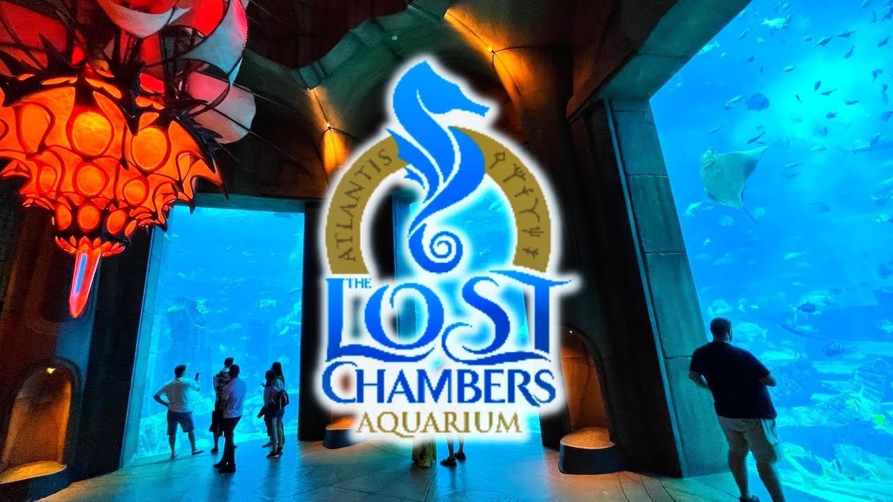 Lost Chamber | DUBAI